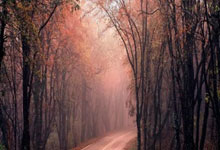 芝加哥哪有外围模特