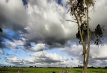 纽约外围上门服务