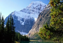 芝加哥外围伴游