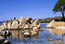 迪拜伴游上门服务